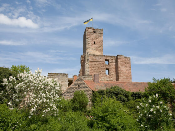 Burgruine Hilpoltstein