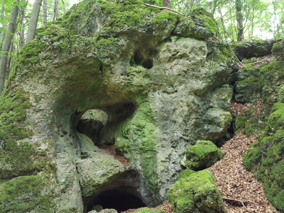 Höhle Nr. 24 am Norissteig