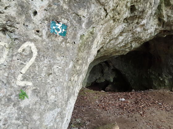 Höhle Nr. 22