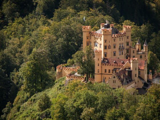 Schloss Hohenschwangau