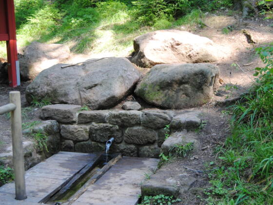 Marienquelle am Heidenberg