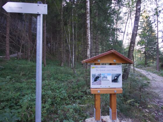 zur Höhle