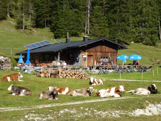 Alpe Jägerhütte Außenansicht
