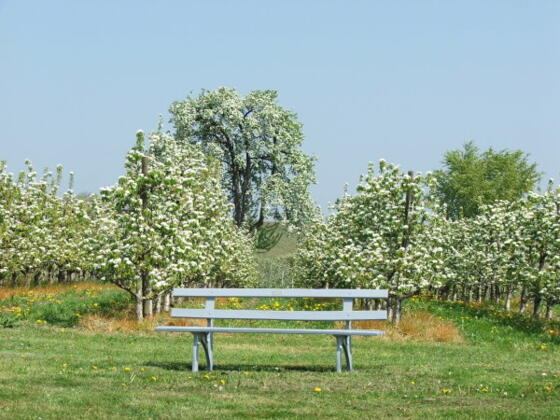 Aussichtspunkt Bullrichanlage