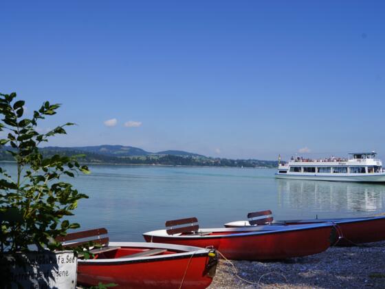Blick über den Forggensee von Schwangau-Waltenhofen