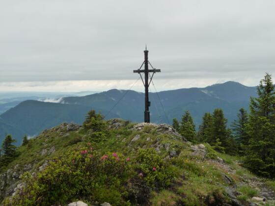 am Gipfel des Schönleitenschrofen (1702 m)