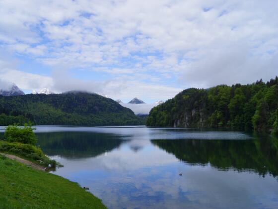 Blick über den Alpsee Richtung Tirol