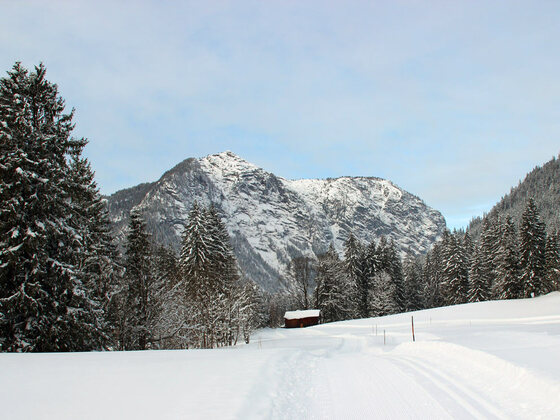Langlauf Loipe Ramsau Taubensee