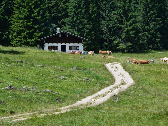 Der Egglerkaser auf der Anthaupten-Alm