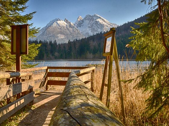 Der abgezäunte Uferbereich des Taubensees