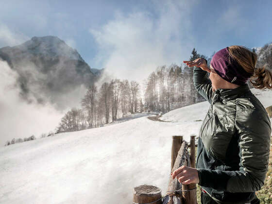 Glänzende Aussichten
