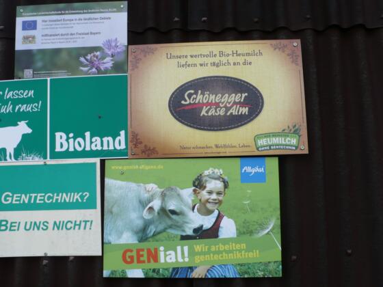 Heimat von glücklichen Kühen