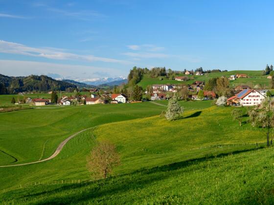 Blick von Vorholz auf Maierhöfen