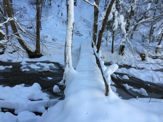 Die kleine Brücke über die Jugetach