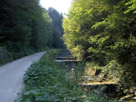 Entlang der Stoißer Ache.