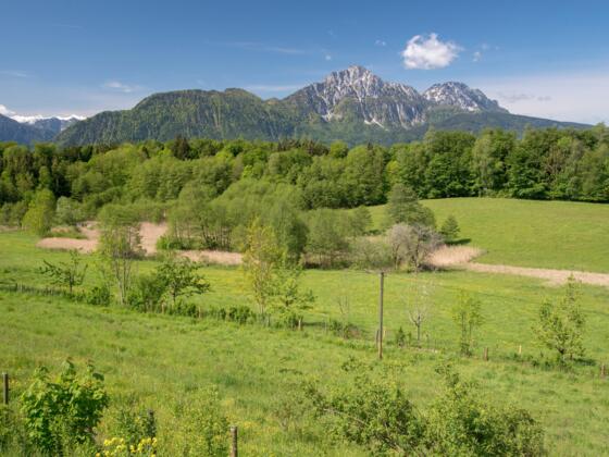 Blick vom Johannishögl über den Pidinger Bieneweg zum Hochstaufen-Massiv