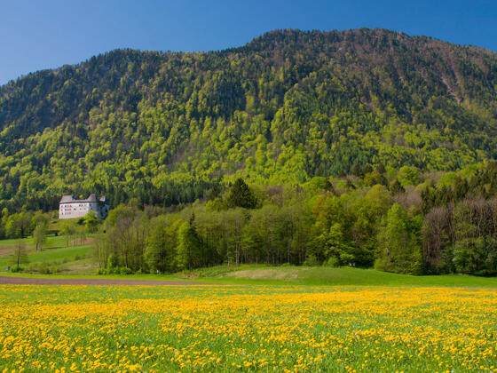 Fuderheuberg © RoHa Fotothek