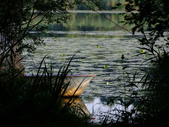 Moorlehrpfad Freimoos