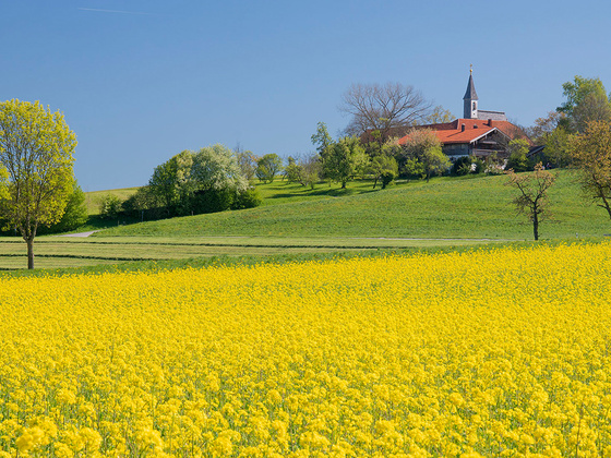 Steinhögl © RoHa Fotothek