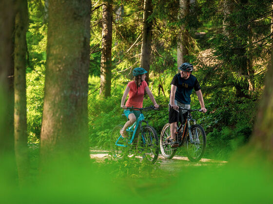Inzell Radfahren Wald
