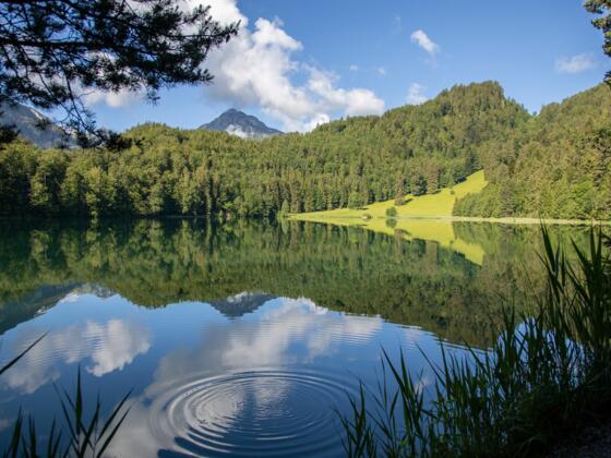 Der Alatsee bei Pfronten im Allgäu