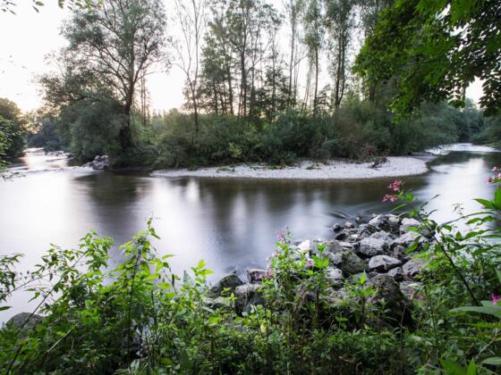 wertach-bei-thalhofen_01
