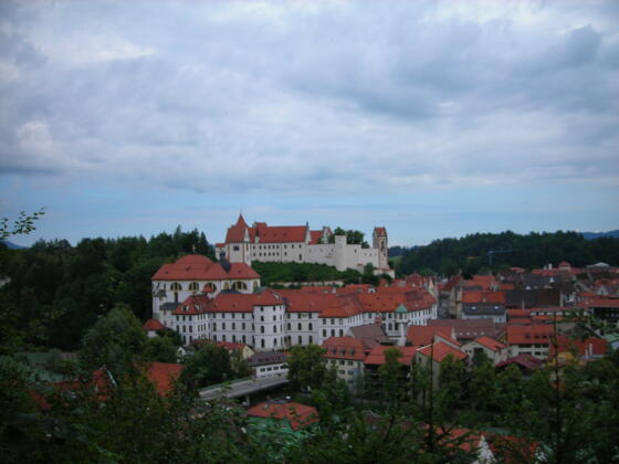 Stadtnaher Blick aufs Hohe Schloss