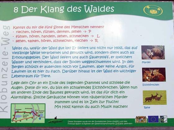Klang des Waldes