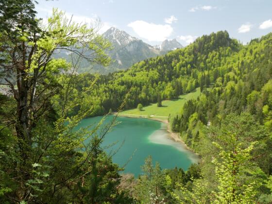 Blick auf den Alatsee
