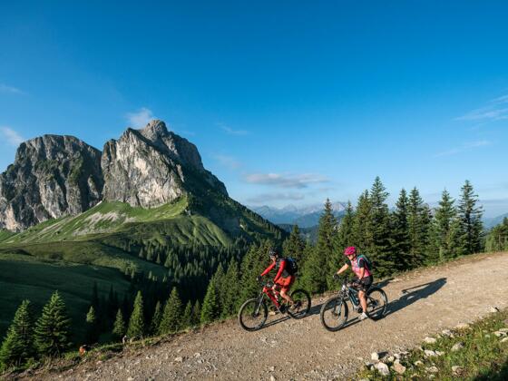 Pfronten Mountainbike