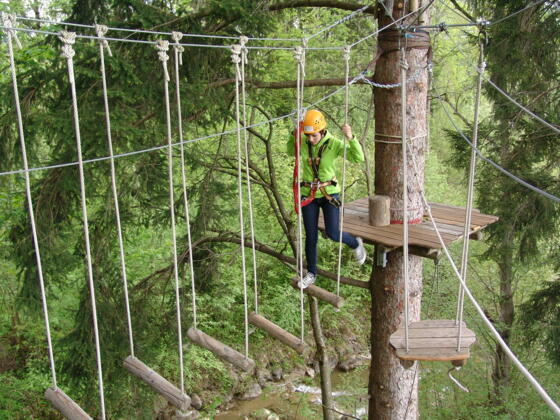 Kletterspaß im Waldseilgarten Höllschlucht