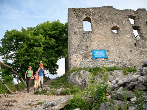 burgruine-falkenstein