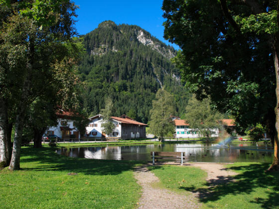 Dorfer Weiher in Pfronten-Dorf