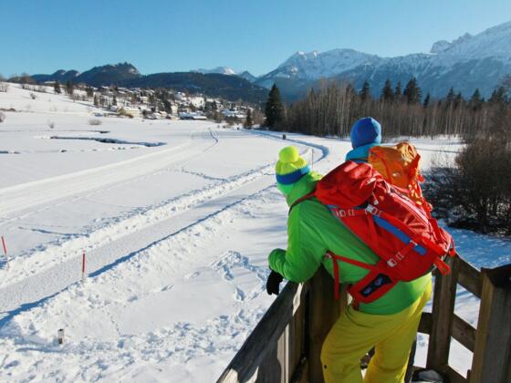 Ausblick vom Aussichtsturm im Berger Moos