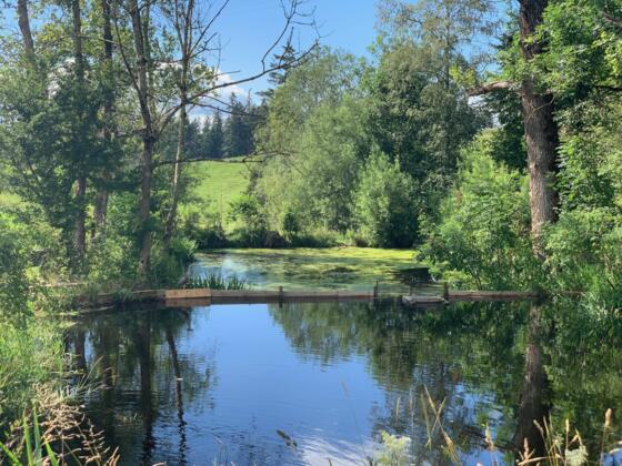 אגם הנוי הצמוד לחניון בתחילת המסלול