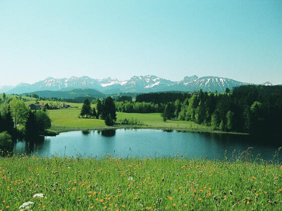 Panoramalandschaft im südlichen Allgäu