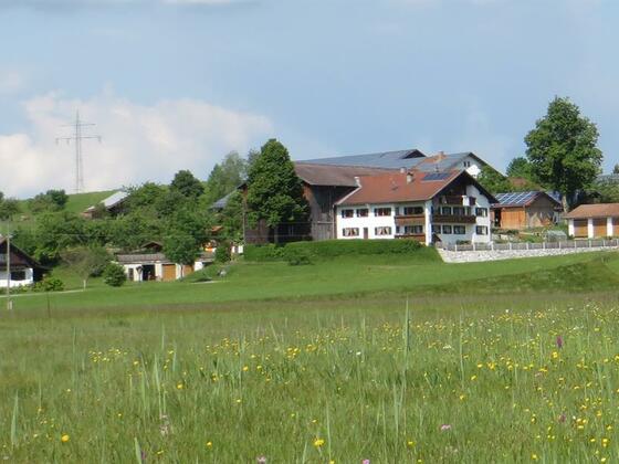 Unser Hof im Sommer
