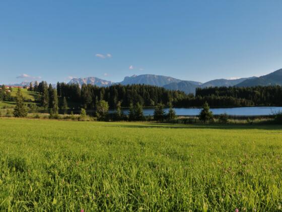 Der Kögelweiher mit Bergpanorama