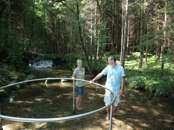 Naturwassertretanlage im Wörthbach