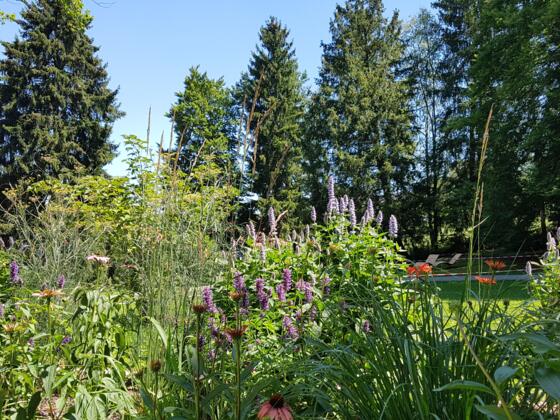 Kurpark Bad Grönenbach