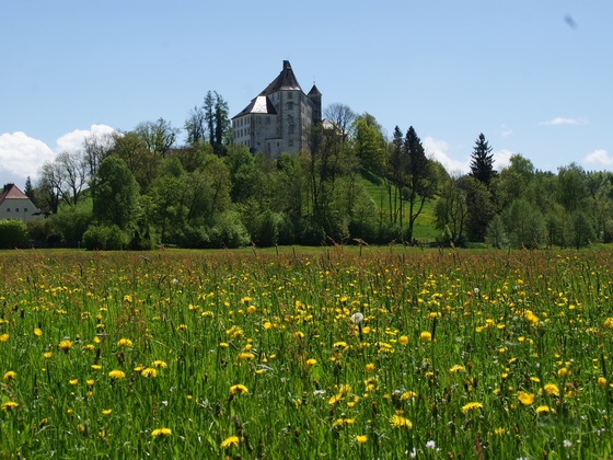 Das Hohe Schloss von Bad Grönenbach