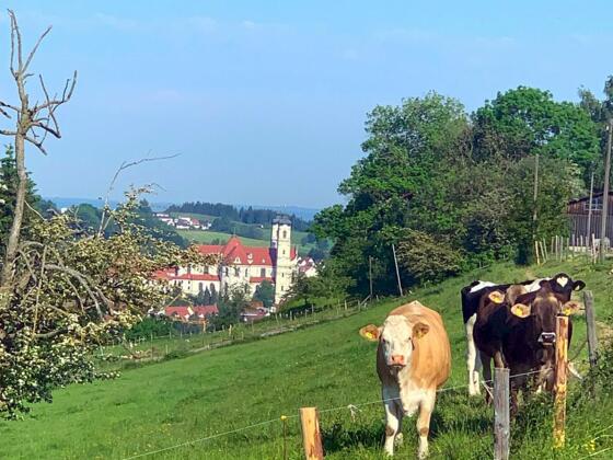 Aussicht in Guggenberg