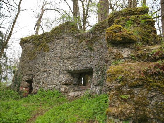 6-etappe_ruine-rothenstein_01_klein