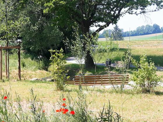 Tretanlage im Bachlauf