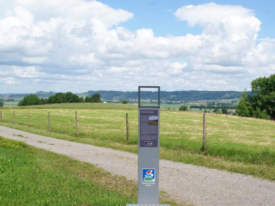 Schaupunkt am Galgenberg
