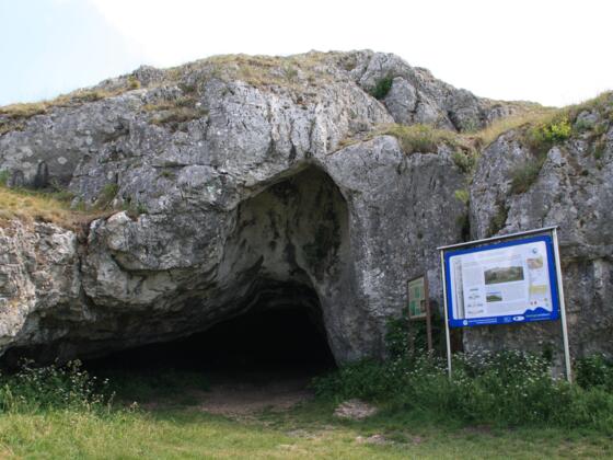 Infotafel Ofnethöhle