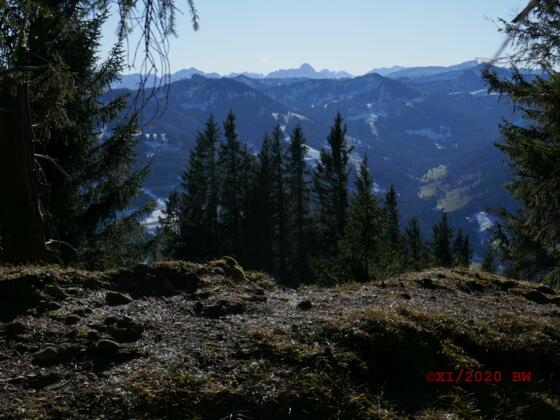 Aussicht Bärenkopf zu den Hörnern und ins Allgäuer Hochgebirge