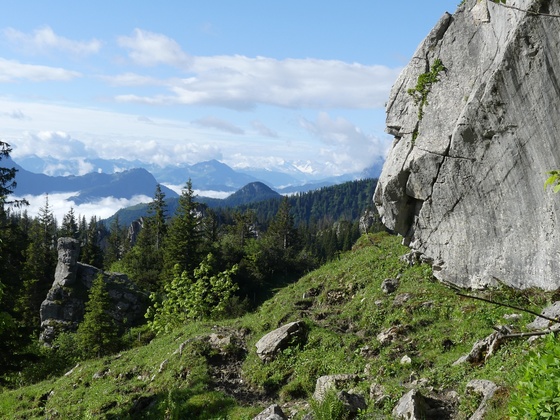 Störungsfläche an einem Block von Wettersteinkalk
