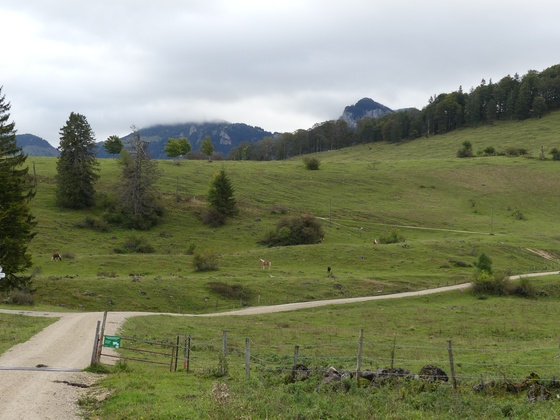 Moränenrücken zwischen Hofalm und Holzstube