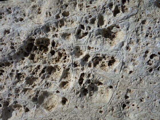 Rauhwacke der Raibl-Formation